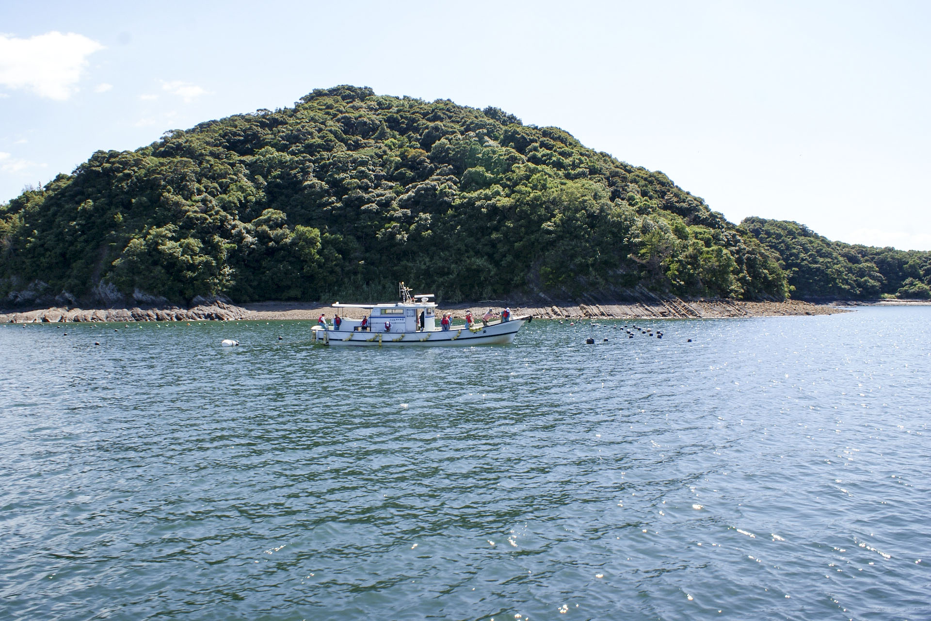 手ぶら参加OK!<br>船釣り体験 - 画像 (5)