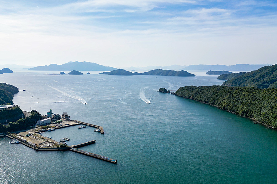 手ぶら参加OK!<br>船釣り体験 - 画像 (3)