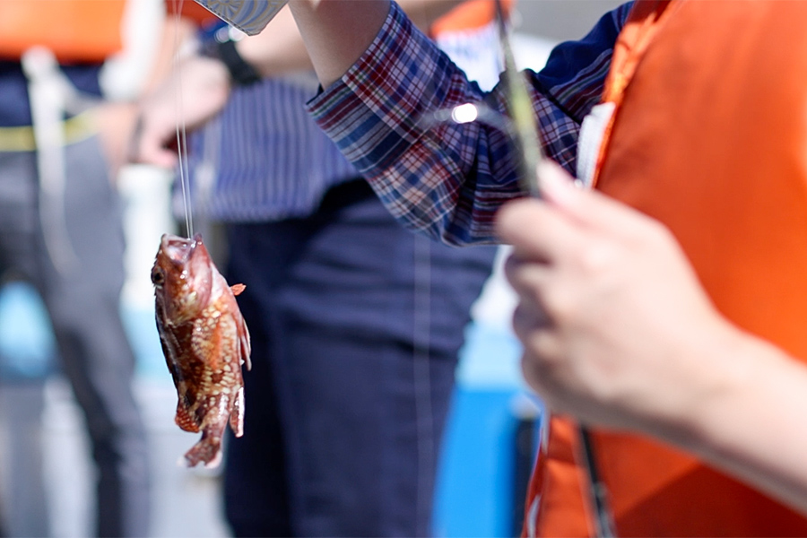 手ぶら参加OK!<br>船釣り体験 - 画像 (4)