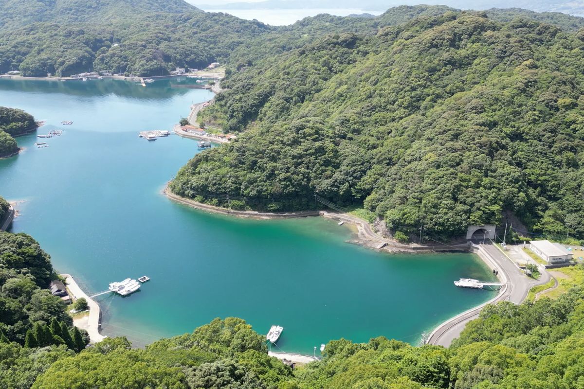 牧島・長浦の「舟かくし」の入り江の空撮