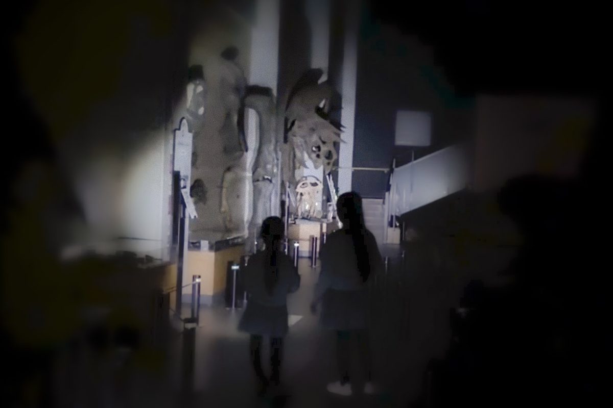 暗い展示室を歩く子どもたちのシルエット